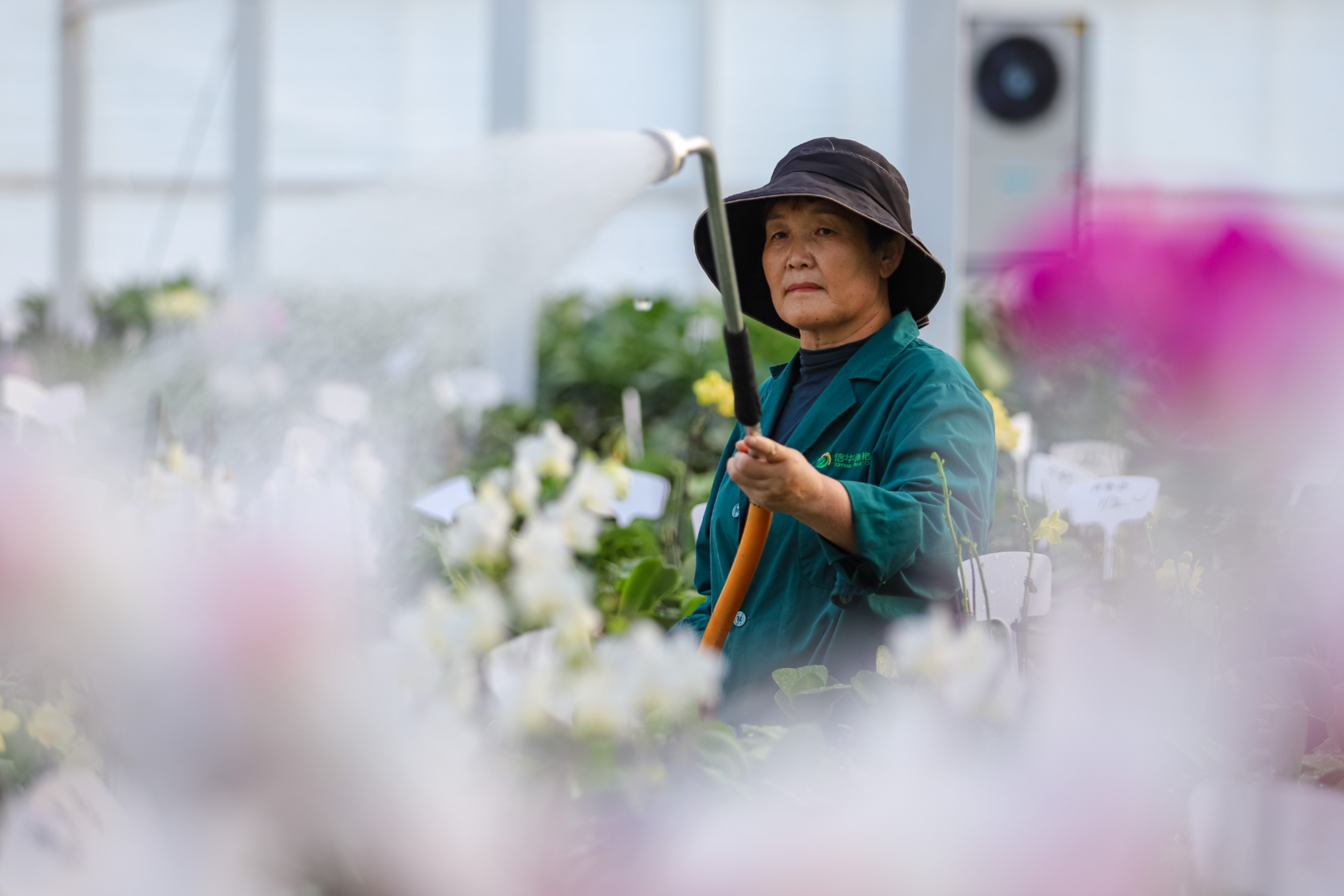 山東滕州：花卉產業助推鄉村振興